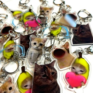 Acrylic Cat Meme Keychains, Keychain, Banana, Apple, Kiwi, Meme, Cat Keychain