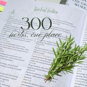 HERBAL MAGIC: The Green Witch’s Guide Workbook & Journal 350 Pages immagine 13