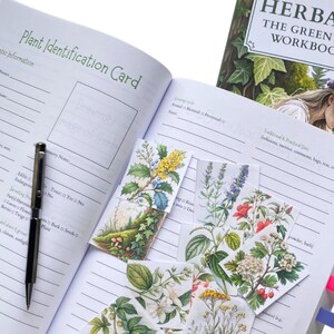 HERBAL MAGIC: The Green Witch’s Guide Workbook & Journal 350 Pages immagine 9