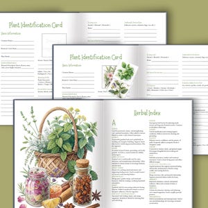 Pu&ograve; includere: Libro aperto con illustrazioni botaniche e testo. Le pagine includono una scheda di identificazione delle piante e un indice delle erbe. Sono presenti anche un cesto di erbe, barattoli di spezie e una fetta di limone. La tavolozza dei colori &egrave; verde e marrone tenui.
