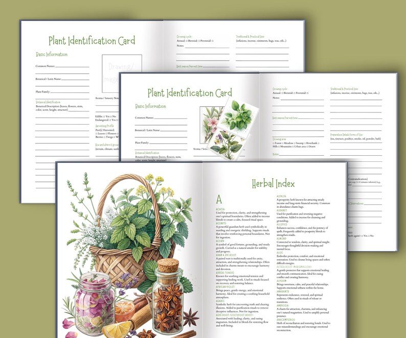 Pu&ograve; includere: Libro aperto con illustrazioni botaniche e testo. Le pagine includono una scheda di identificazione delle piante e un indice delle erbe. Sono presenti anche un cesto di erbe, barattoli di spezie e una fetta di limone. La tavolozza dei colori &egrave; verde e marrone tenui.