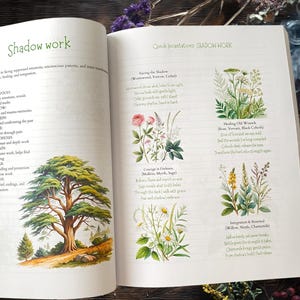 Pu&ograve; includere: Un libro aperto con il titolo "Shadow Work" e illustrazioni di piante e un grande albero. Il testo descrive erbe e incantesimi per la guarigione emotiva e il lavoro interiore. Le pagine sono color crema.
