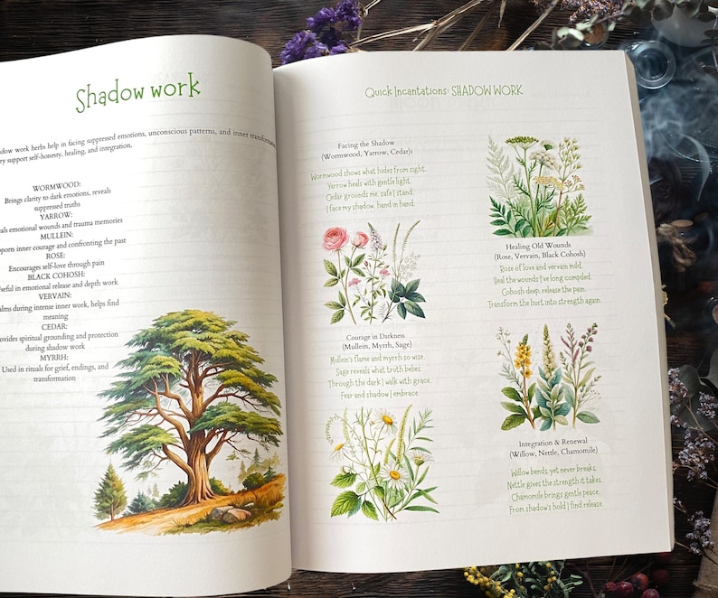 Pu&ograve; includere: Un libro aperto con il titolo "Shadow Work" e illustrazioni di piante e un grande albero. Il testo descrive erbe e incantesimi per la guarigione emotiva e il lavoro interiore. Le pagine sono color crema.