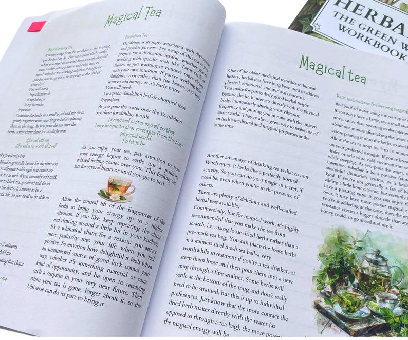 HERBAL MAGIC: The Green Witch’s Guide Workbook & Journal 350 Pages immagine 16
