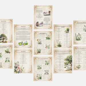 Grimorio de Magia Herbal: Diario de Brujería Verde (PDF) imagen 6