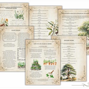 Grimorio de Magia Herbal: Diario de Brujería Verde (PDF) imagen 10