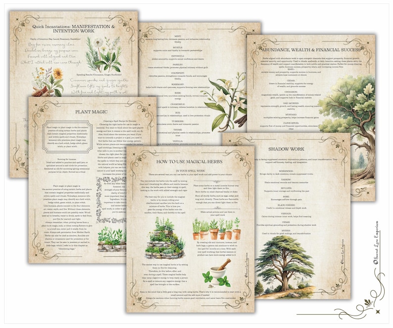 Grimorio de Magia Herbal: Diario de Brujería Verde (PDF) imagen 10