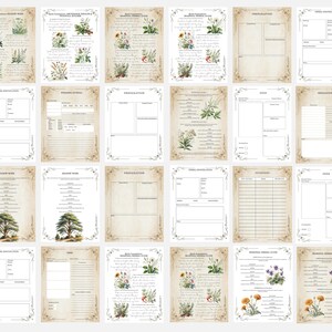 Grimorio de Magia Herbal: Diario de Brujería Verde (PDF) imagen 4