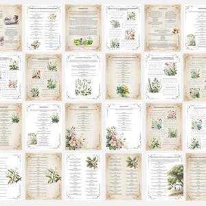 Grimorio de Magia Herbal: Diario de Brujería Verde (PDF) imagen 3
