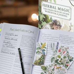 HERBAL MAGIC: The Green Witch’s Guide Workbook & Journal 350 Pages immagine 8