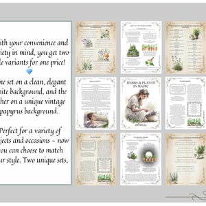 Grimorio de Magia Herbal: Diario de Brujería Verde (PDF) imagen 5