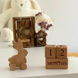Personalized Toy Gifts for Babies & Toddlers: Wooden Rabbit + Baby Milestone Blocks | Push Toy Bunny + Monthly Age blocks | baby photography