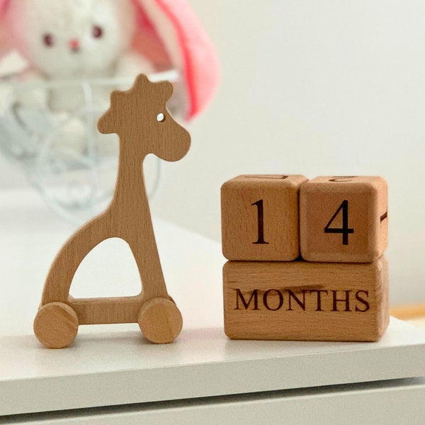 Wooden Milestone Blocks & Montessori Toys | Kids Bedroom Decor | Baby Accessories, Newborn Baby Shower, Gift For New Mom | Baby photo props