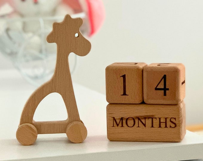 Milestone Blocks & Personalized Wooden Giraffe Toy | Babyroom Decor, Newborn Baby Shower Gift For New Mom | monthly baby countdown milestone