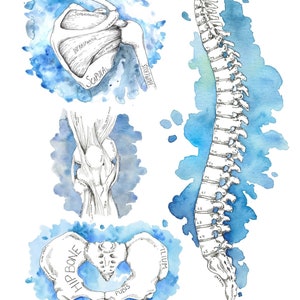 Google Sheets List of EDS Doctors in the US - Etsy