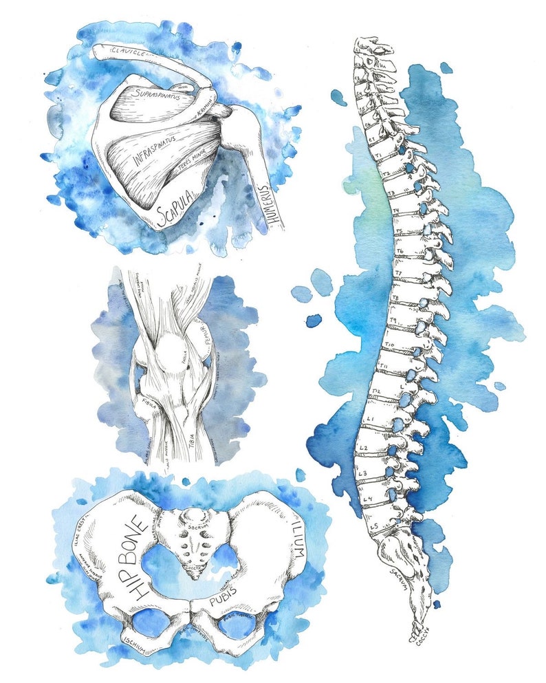 Google Sheets List of EDS Doctors in the US Etsy