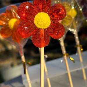 Translucent Lollipops Sweet Party Gifts – Wedding, Birthday , Baby Shower Favors - Etsy