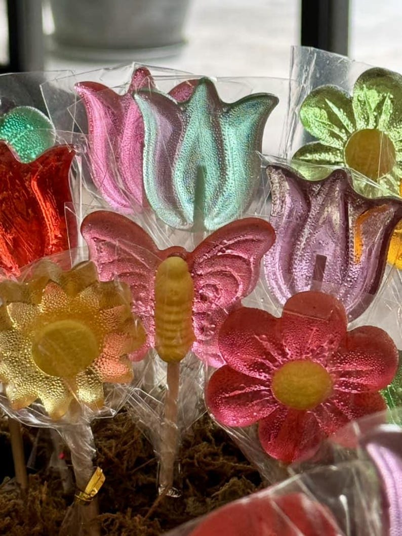 Translucent Lollipops 25 Daisy Lollipops – Favors for Wedding, Birthday, Bachelorette Party ...