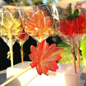 May include: Four colorful maple leaf shaped lollipops on sticks. The lollipops are red, orange, yellow, and green. The lollipops are wrapped in clear plastic and are displayed on a white stand.