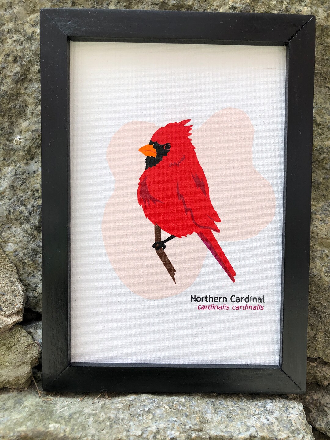 Cardinal - Wall Art - Limited Edition - Print and Frame Hand Maine in ...