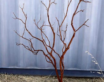 Natural Manzanita Branch for Aquarium, Reptile & Bird Perch | small, medium, large Aquarium Driftwood | Aquascaping Wood | Terrarium Decor