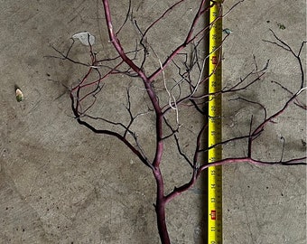 Manzanita Branch(es) to use as FILLERS. Overall Length: 25in. or 45in. Make Arrangements Look FULLER. Ideal for centerpieces, decor, DIY