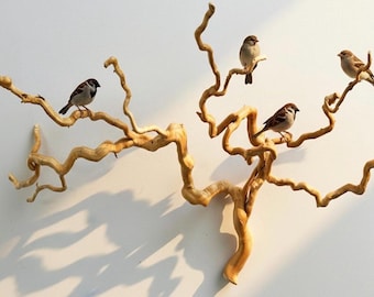 Manzanita Pet Perch - Natural Bird & Reptile Branch, Custom Length