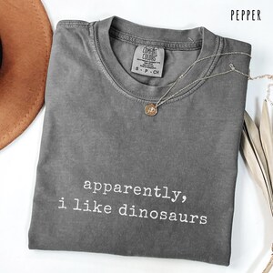 May include: A gray Comfort Colors t-shirt with the text "apparently, i like dinosaurs" in white. A silver necklace with a round pendant is draped across the shirt. The shirt is folded on a white surface.