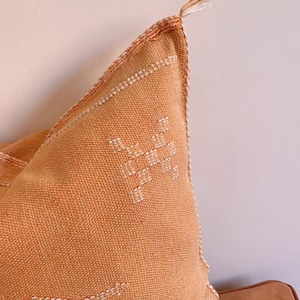 May include: A light orange throw pillow with a white geometric pattern. The pillow has a fringe detail at the top.