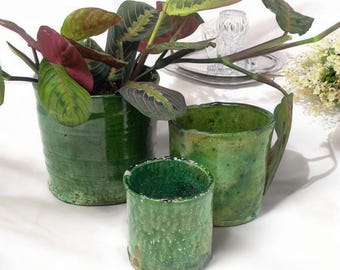 Puede incluir: Tres macetas de cerámica verde, una con una planta de hojas rojas y verdes. Las macetas tienen un acabado texturizado y esmaltado.