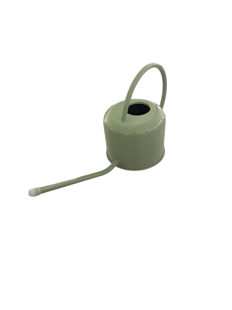 0.9 L Watering Can Modern Style Watering Pot for Indoor Plants or Outdoor Plants Galvanised Powder Coated Steel Summergreen image 2