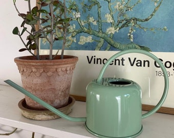 Arrosoir 0,9 L - Pot d'arrosage de style moderne pour plantes d'intérieur ou d'extérieur - Acier galvanisé enduit de poudre - Vert estival