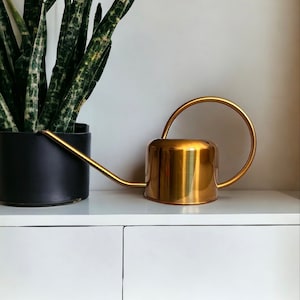 0.9 L Watering Can - Modern Style Watering Pot for Indoor Plants or Outdoor Plants- Galvanised Powder Coated Steel - Brass