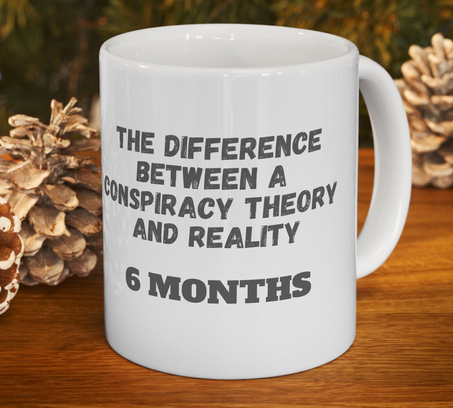 The Difference Between A Conspiracy Theory and Reality 6 Months Ceramic