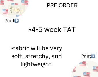 4th of July flag  print pre order