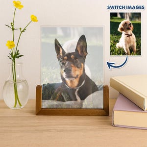Cartão lenticular personalizado para animais de estimação, exibição de fotos personalizada com suporte de madeira, presente exclusivo para amantes de animais de estimação
