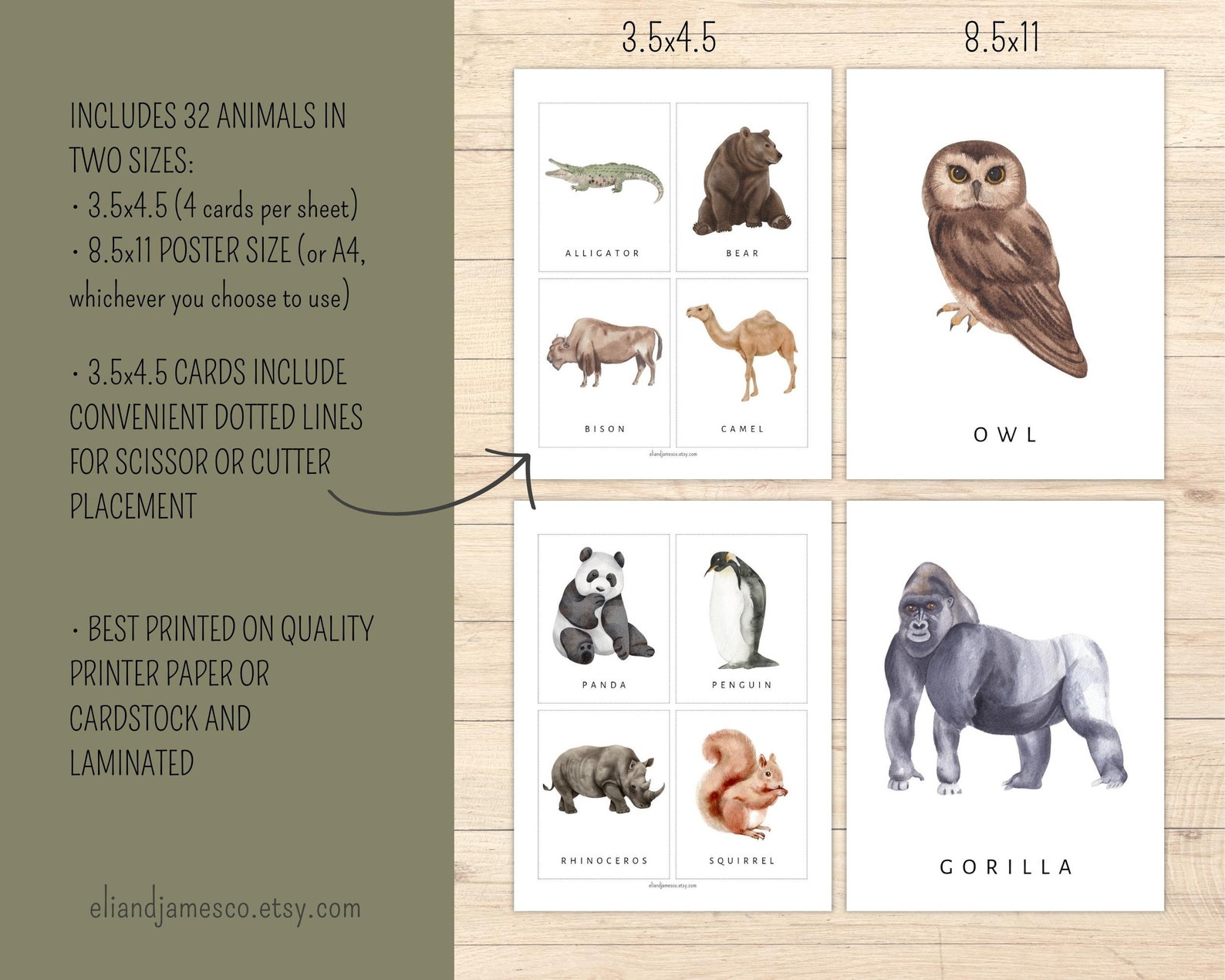 Wild animal flash cards printable flash cards preschool cards