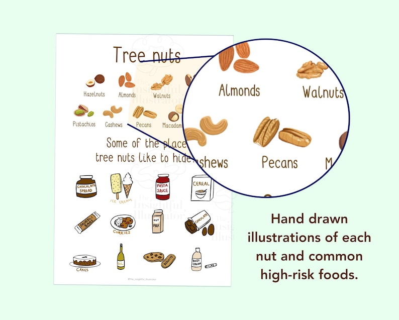 Tree Nut Allergy Warning Poster - Information Sheet - Teacher, School ...
