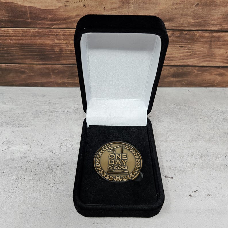 One Day at a Time Coin, Sobriety Gift for Men & Women, Serenity Prayer Token, Recovery Keepsake, Inspirational Chip, 12 Step AA NA Medallion Velvet Box (+5.99)