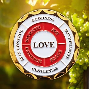 Fruit of the Spirit Coin, Galatians 5 Christian Challenge Faith Gift, Love Joy Peace Token for Dad Mom, Baptism Keepsake, Encouragement Coin