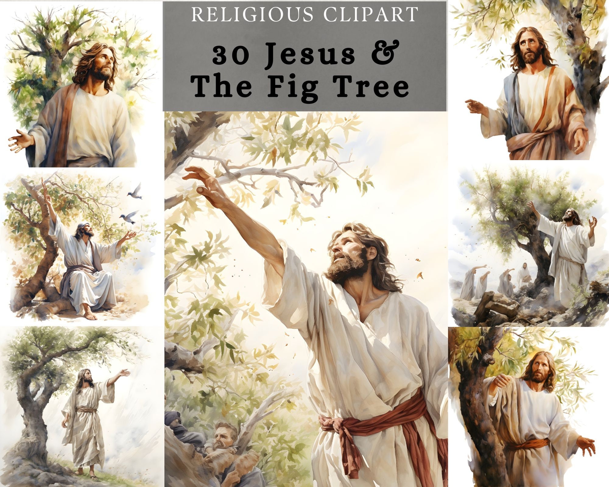 Jesus and the Fig Tree Jesus Curse the Fig Tree Watercolor Etsy