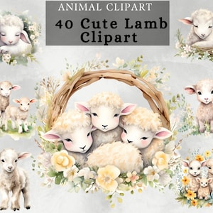 Cute Lamb png Clipart , Watercolor Lamb transparent png , floral lamb sublimation design , Group of lamb design for comercial use