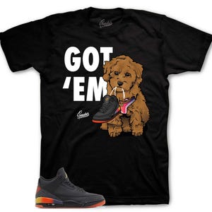 Sneaker Tees To Match Retro 3 Rio AJ3 - Copped Em Shirt