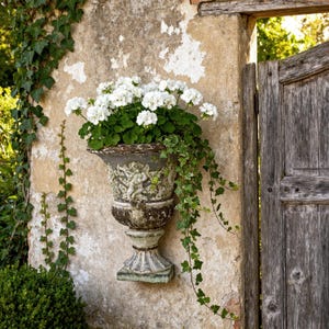 May include: An antique-style, weathered gray urn overflowing with white flowers and green foliage. The urn is mounted on a textured wall, with a carved cherub design. Trailing ivy and a wooden gate complete the garden scene.