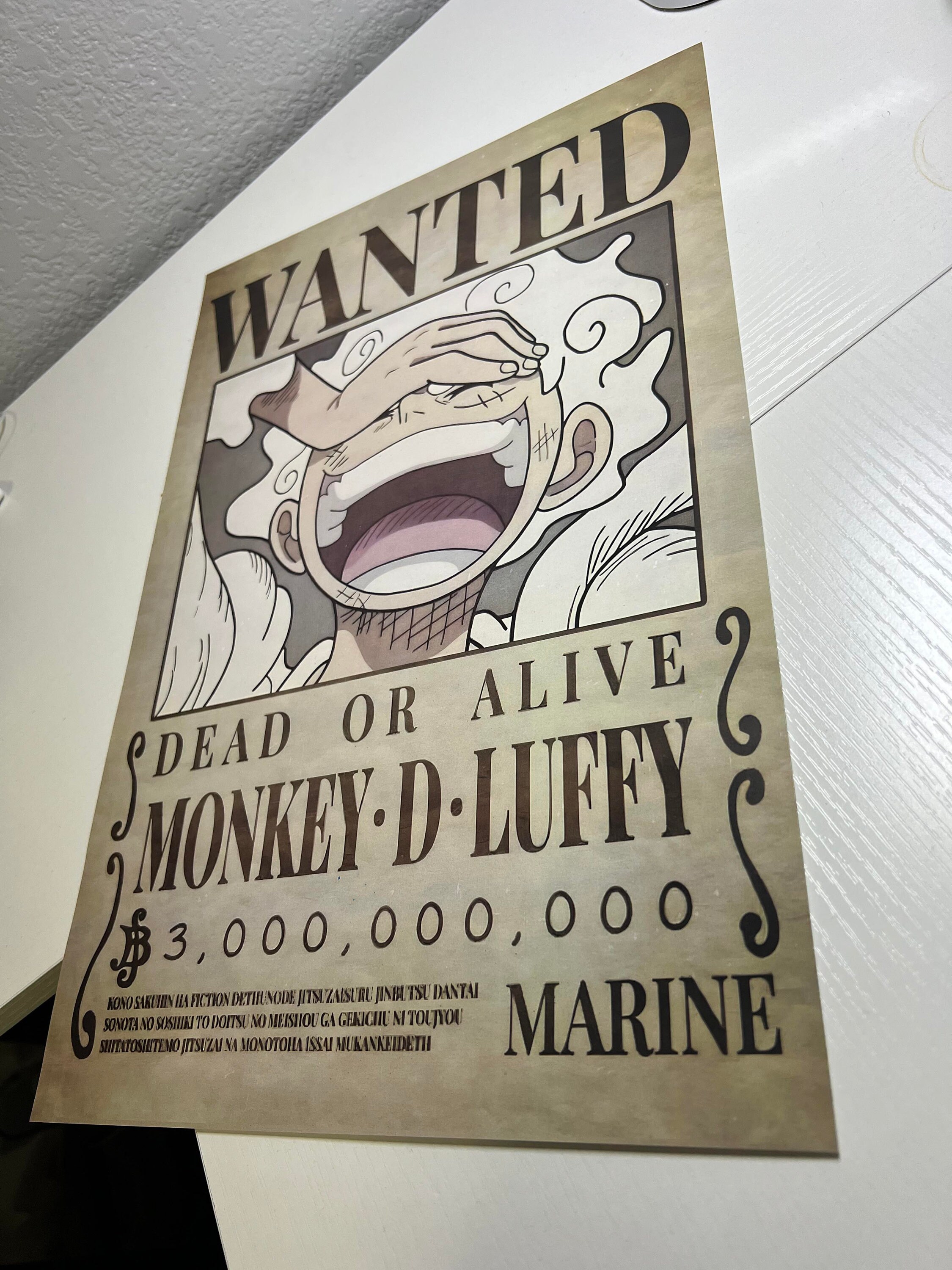 One Piece - Affiche recherchée de Monkey D. Luffy (16 x 20 pouces)