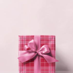 May include: A wrapped gift box with a pink plaid pattern and a matching pink satin ribbon tied in a bow. The gift box is centered on a light pink background, creating a festive and elegant presentation.
