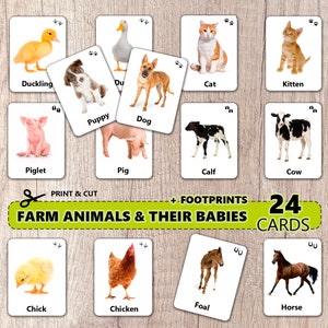 24 cartes-éclair sur les animaux de la ferme et leurs bébés (photos réelles) | Flashcards imprimables pour les enfants