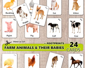 24 flitskaarten boerderijdieren en hun baby's (echte foto's) | Afdrukbare flashcards voor kinderen