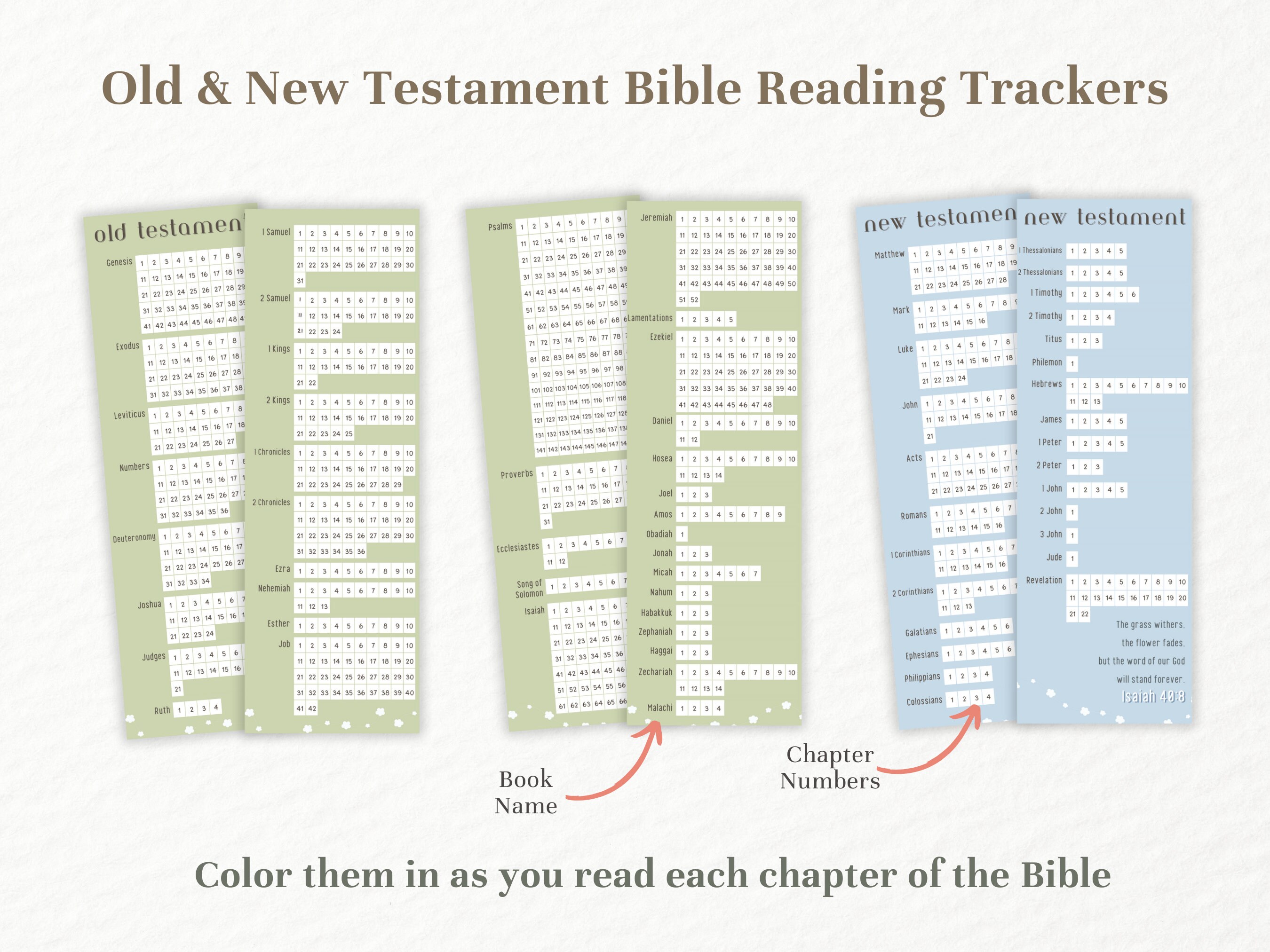 【bible】14点おまとめ il_340x270.5689799319_dya0.jpg