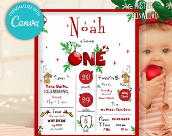 Grinch 1st Birthday Milestone Board: First Year Poster (Digital Download)